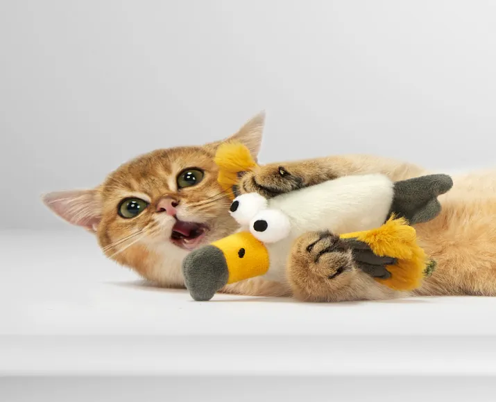 Fofos Eagle with Catnip balls, Cat Interavtive Toy at ithinkpets.com (2)