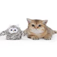 Fofos Flapping Owl Chirping Interactive Cat Toy