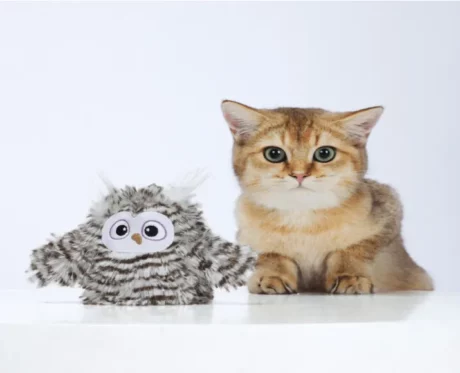 Fofos Flapping Owl Chirping Interactive Cat Toy at ithinkpets.com (2)