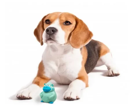 Fofos Latex Bi Ape Squeaky Dog Toy at ithinkpets.com (8)