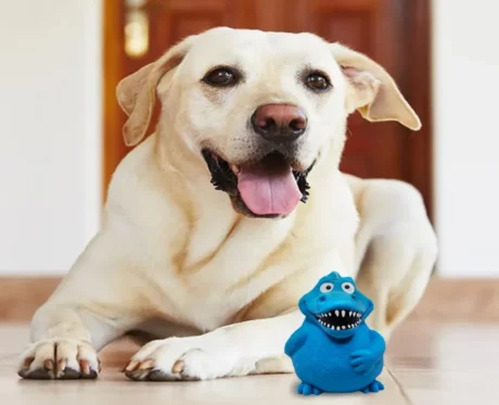 Fofos Latex Bi Dinosaur Squeaky Dog Toy at ithinkpets.com (5)