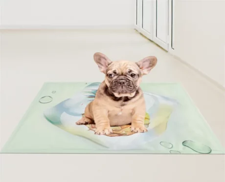 Fofos Pineapple Pet Cooling Mat at ithinkpets.com (2)