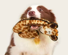 Fofos Safari Line Giraffe, Dog Plush Toy at ithinkpets.com (2)