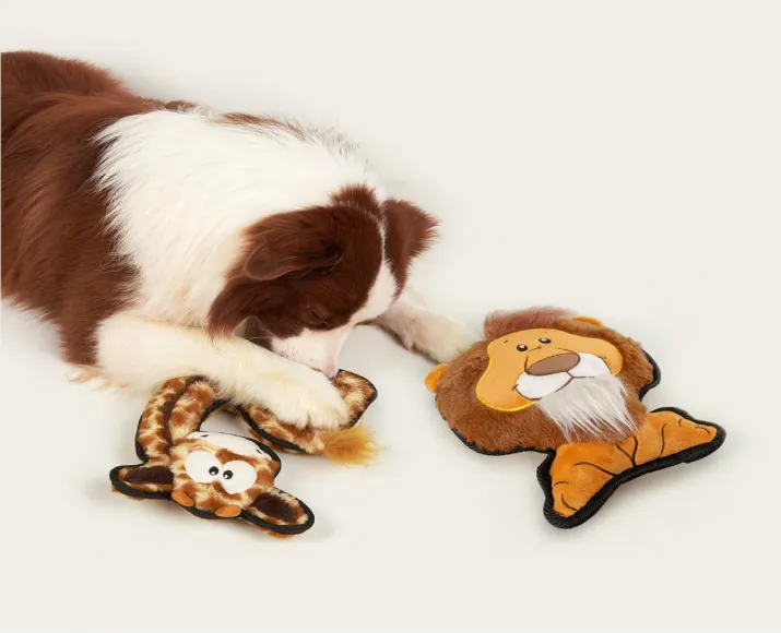 Fofos Safari Line Lion, Dog Plush Toy at ithinkpets.com (2)
