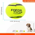 Fofos Sports Fetch Ball Dog Toy Set, Pack of 2