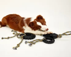Fofos Tough Driveshaft Rope Dog Toy at ithinkpets.com (2)