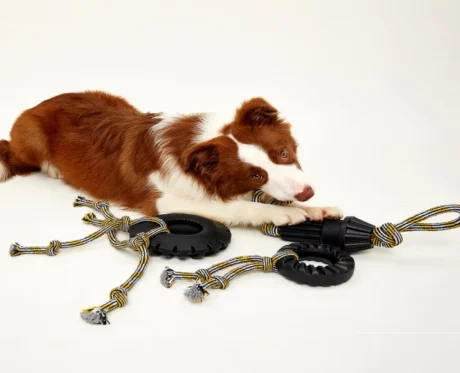 Fofos Tough Driveshaft Rope Dog Toy at ithinkpets.com (2)