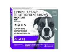 Frontline Plus Spot On for Dogs Large at ithinkpets.com (1)