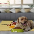 Jazz My Home Chief Snack Officer Dog Mat