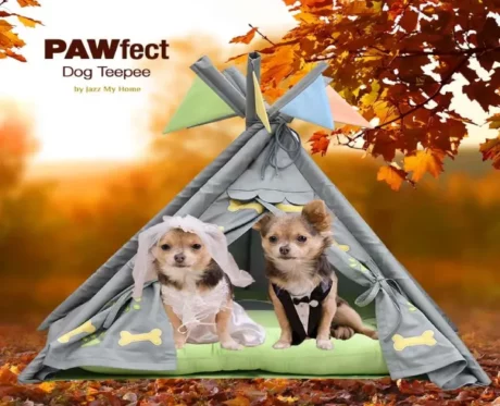 Jazz My Home Pawfect Teepee Dog Bed at ithinkpets.com (2)