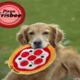 Jazz My Home Pizza Frisbee Dog Plush Toy