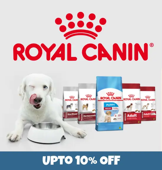 Royal Canin Dog Food at ithinkpets.com
