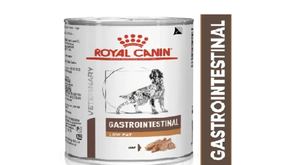 Royal Canin Intestinal Low Fat Canned Wet Dog Food