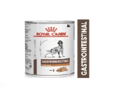 Royal Canin Intestinal Low Fat Canned Wet Dog Food at ithinkpets.com (1)