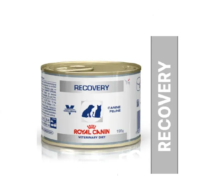 Royal Canin Recovery Canned Adult Pet Wet Food at ithinkpets.com (1)