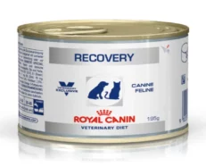 Royal Canin Recovery Canned Adult Pet Wet Food at ithinkpets.com (2)