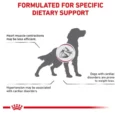 Royal Canin Veterinary Cardiac Dog Food