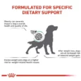Royal Canin Veterinary Diet Satiety Weight Management Dog Dry Food, 12 Kg