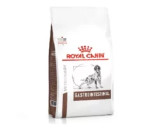 Royal Canin Veterinary Gastrointestinal Dog Food at ithinkpets.com (1) (1) (2)