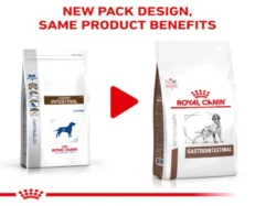 Royal Canin Veterinary Gastrointestinal Dog Food at ithinkpets.com (2)
