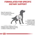Royal Canin Veterinary Hepatic Dog Food, 6 Kg