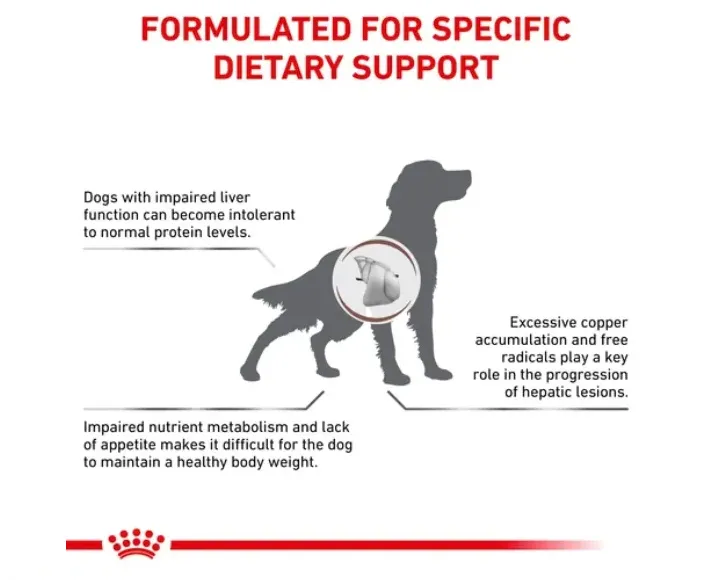 Royal Canin Veterinary Hepatic Dog Food at ithinkpets.com (2) (1)