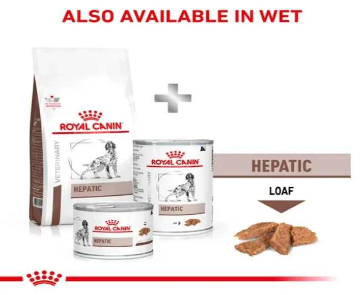 Royal Canin Veterinary Hepatic Dog Food at ithinkpets.com (4)