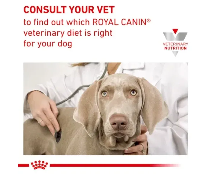 Royal Canin Veterinary Hepatic Dog Food at ithinkpets.com (6) (1)
