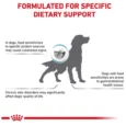 Royal Canin Veterinary Hypoallergenic Dog Food, 7 Kg