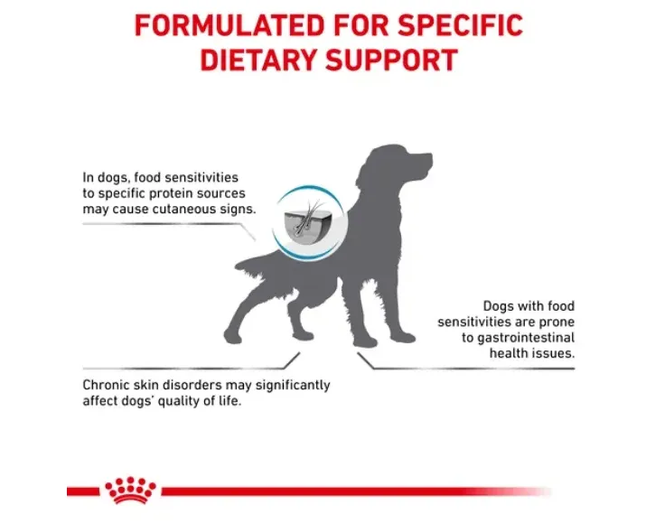 Royal Canin Veterinary Hypoallergenic Dog Food at ithinkpets.com (3) (1)