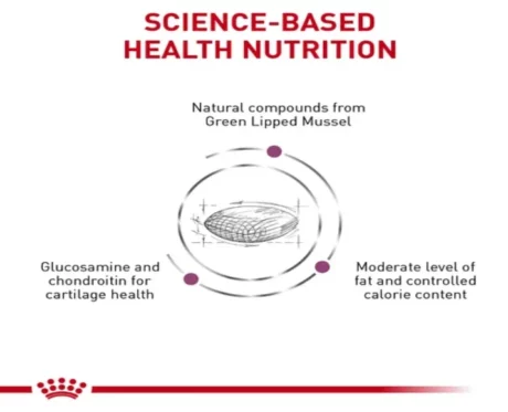 Royal Canin Veterinary Mobility Support Dog Food at ithinkpets.com (2)