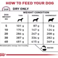 Royal Canin Veterinary Mobility Support Dog Food