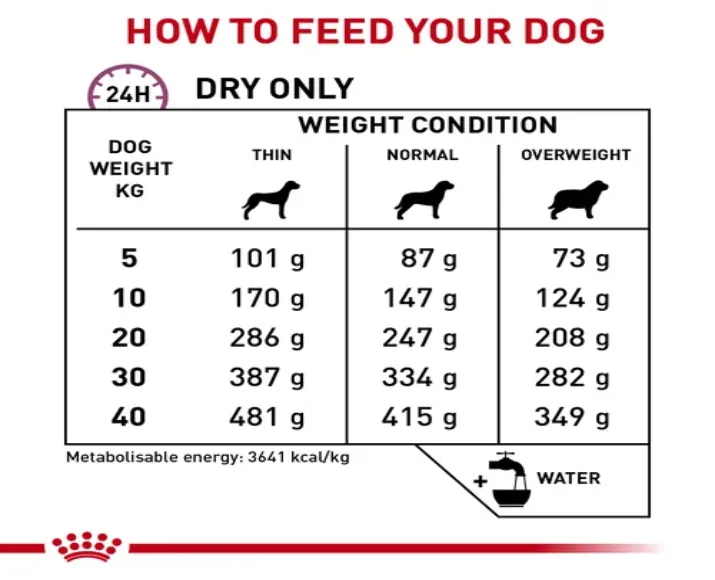 Royal Canin Veterinary Mobility Support Dog Food at ithinkpets.com (5)
