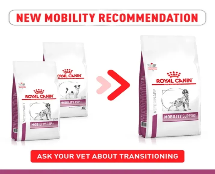 Royal Canin Veterinary Mobility Support Dog Food at ithinkpets.com (6)