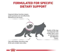Royal Canin Veterinary Renal Dog Food at ithinkpets.com (2) (1)