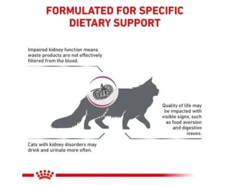 Royal Canin Veterinary Renal Dog Food at ithinkpets.com (2) (1)