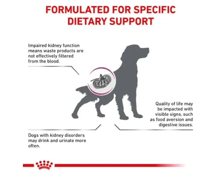 Royal Canin Veterinary Renal Dog Food at ithinkpets.com (3) (1)