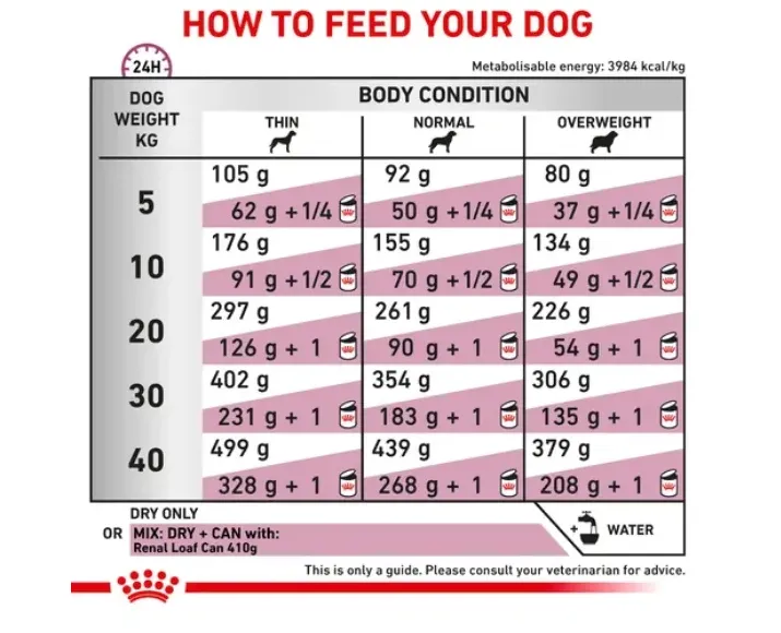 Royal Canin Veterinary Renal Dog Food at ithinkpets.com (6) (1)