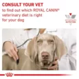 Royal Canin Veterinary Renal Dog Food