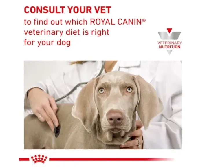 Royal Canin Veterinary Renal Dog Food at ithinkpets.com (9) (1)