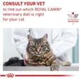 Royal Canin Veterinary Urinary S/O Cat Dry Food