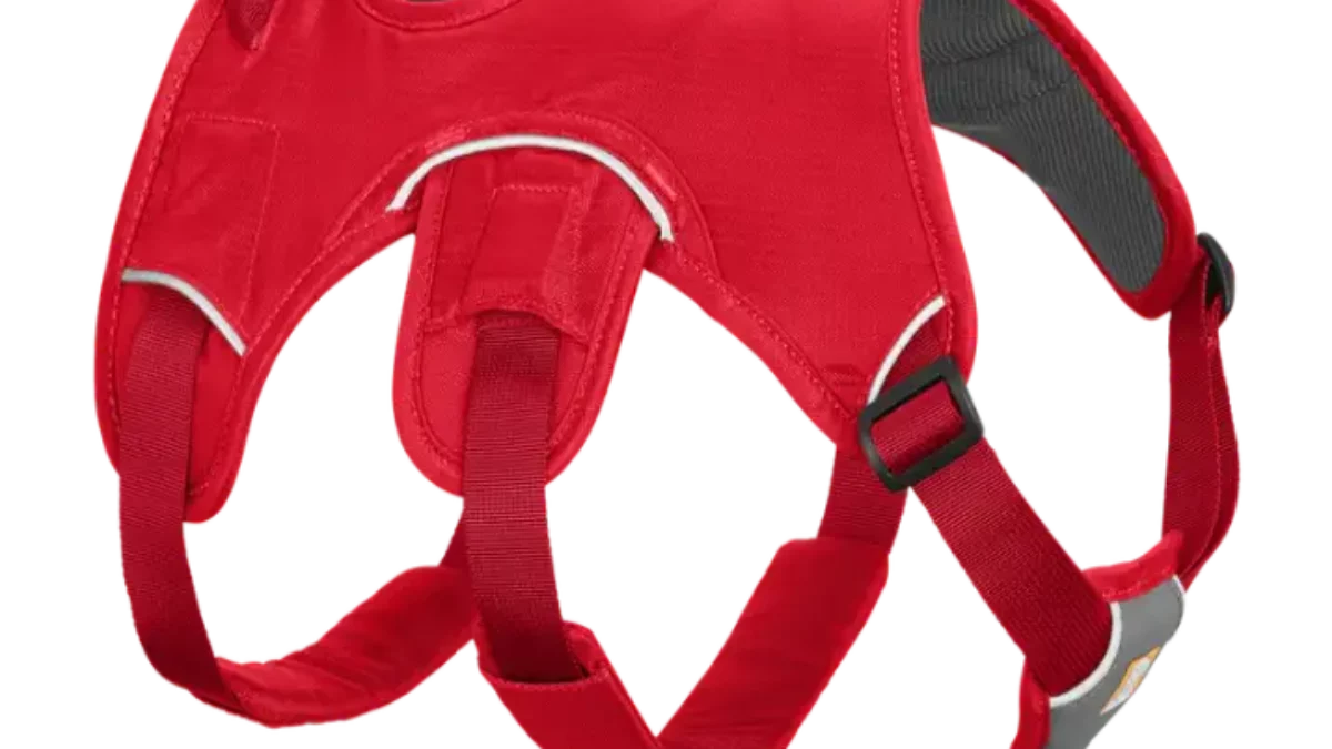 Buy Ruffwear Web Master Red Currant Dog Harness