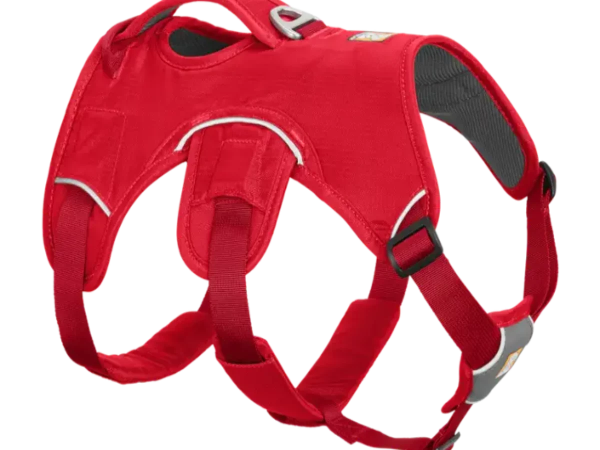 Buy Ruffwear Web Master Red Currant Dog Harness Ithinkpets