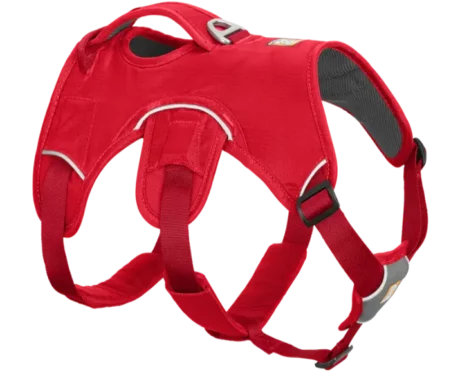 Ruffwear Web Master Red Currant at ithinkpets.com