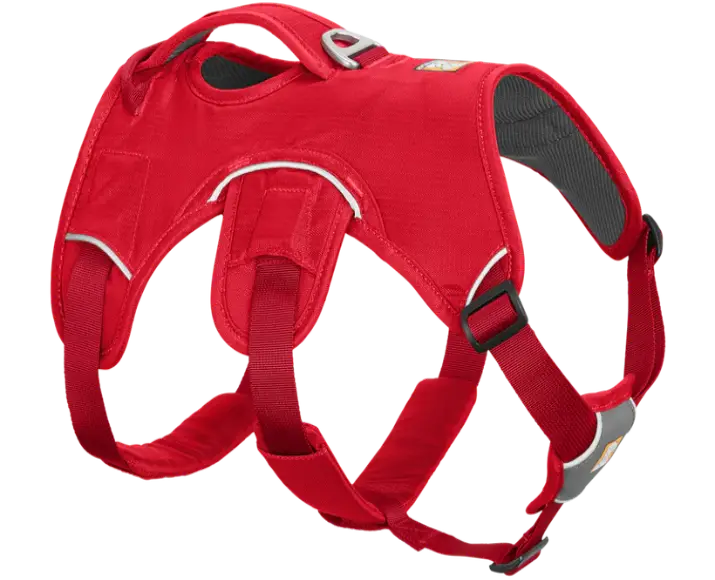 Ruffwear Web Master Red Currant at ithinkpets.com