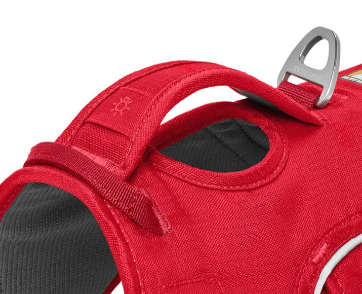 Ruffwear Web Master Red Currant at ithinkpets.com