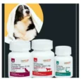 Savavet Safeheart 1.25 mg For Dogs