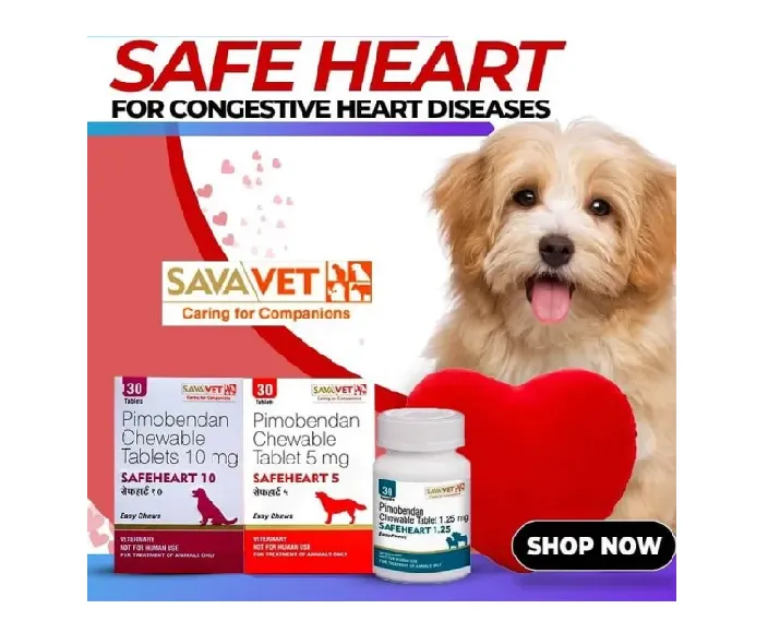 Savavet Safeheart For Dogs, 10 mg at ithinkpets.com (3)