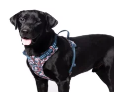 Truelove Floral No Pull Pet Harness Navy Blazer at ithinkpets.com