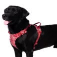 Truelove Floral No Pull Pet Harness Poppy Red
